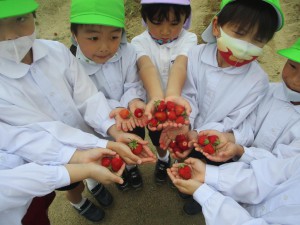 5月がはじまりました！年長組