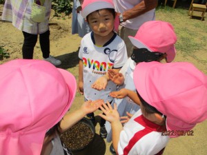 年中組☆かぼちゃを植えたり製作をしたよ！