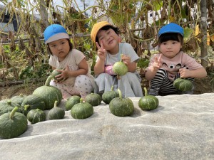 ☆幼稚園の畑 野菜の収穫☆