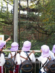 年長組　電車遠足　天王寺動物園！！