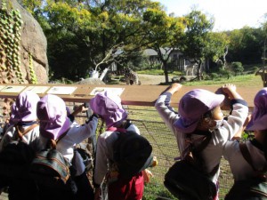 年長組　電車遠足　天王寺動物園！！