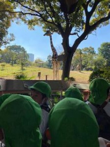 年長組　電車遠足　天王寺動物園！！