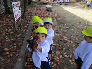 大池公園にお散歩にいったよ♪年少組