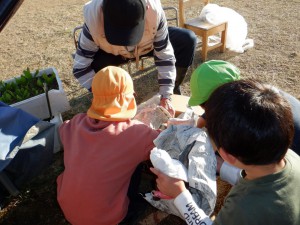 ☆幼稚園の畑にある　うまごや☆