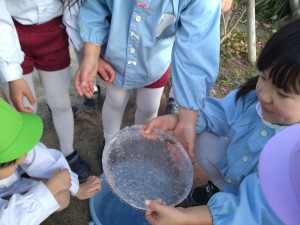 バケツの水が凍ったよ！