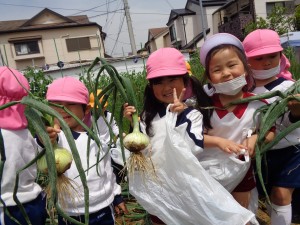 進級してからの子どもの様子（年中）