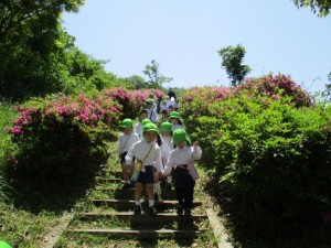 お山に登ったよ＊年長＊