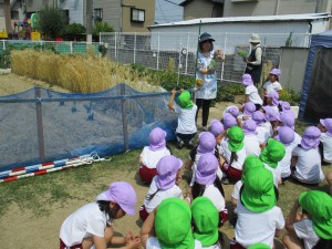 神様、美味しい食べ物をありがとう♪＊年長組＊