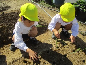 年中組とパラバルーンをしたよ★