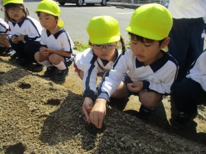 年少組　幼稚園はじめてのクリスマスに向けて