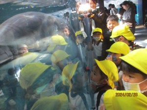 ☆年少・年中お別れ遠足☆海遊館に行ったよ！