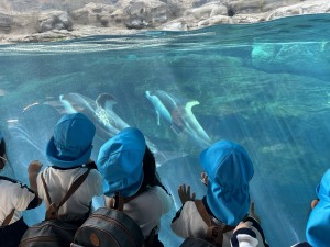 ☆年少・年中お別れ遠足☆海遊館に行ったよ！