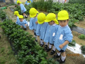 ご入園おめでとうございます。年少組スタート！！