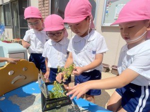 ★今週の年中組★