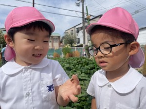 ２学期　年中組