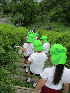 年長組／お山へお散歩に行ったよ！！