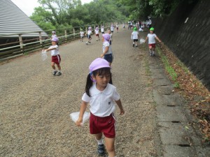 年長組／お山へお散歩に行ったよ！！