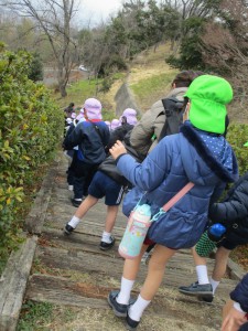 年長組／お山へお散歩にいったよ