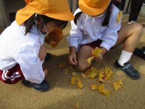 幼稚園のイチョウの木