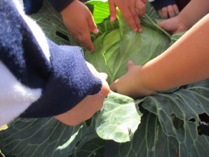 年少組／毎日楽しく過ごす子ども達～製作･YMCA･野菜の収穫～