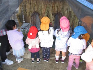 幼稚園の畑には‥‥☆