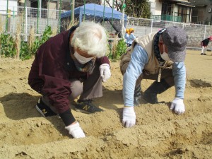 ☆幼稚園の畑のようす☆