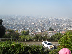 年中組☆お山へお散歩に行ったよ！